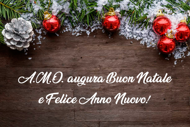 A.M.O. augura Buon Natale e Felice Anno Nuovo!